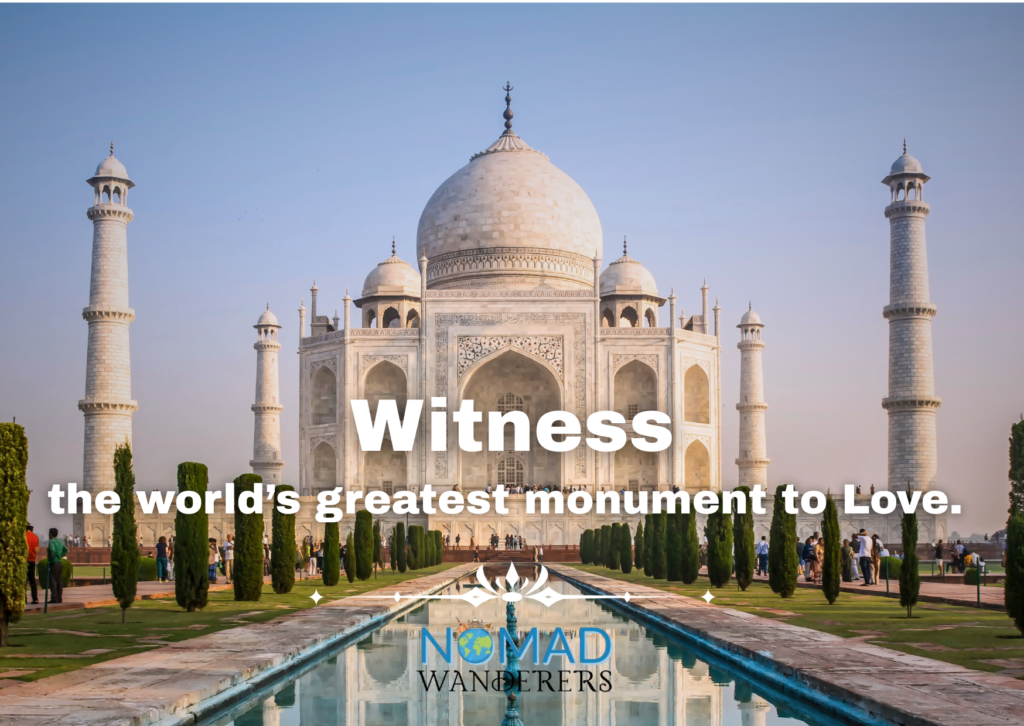 copy of wedding saree 1