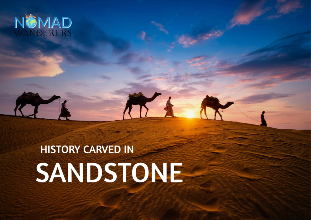 copy of wedding saree 2