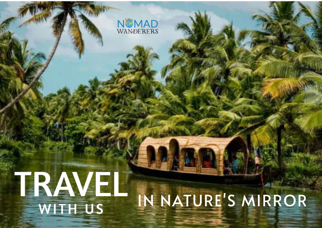 copy of wedding saree 3