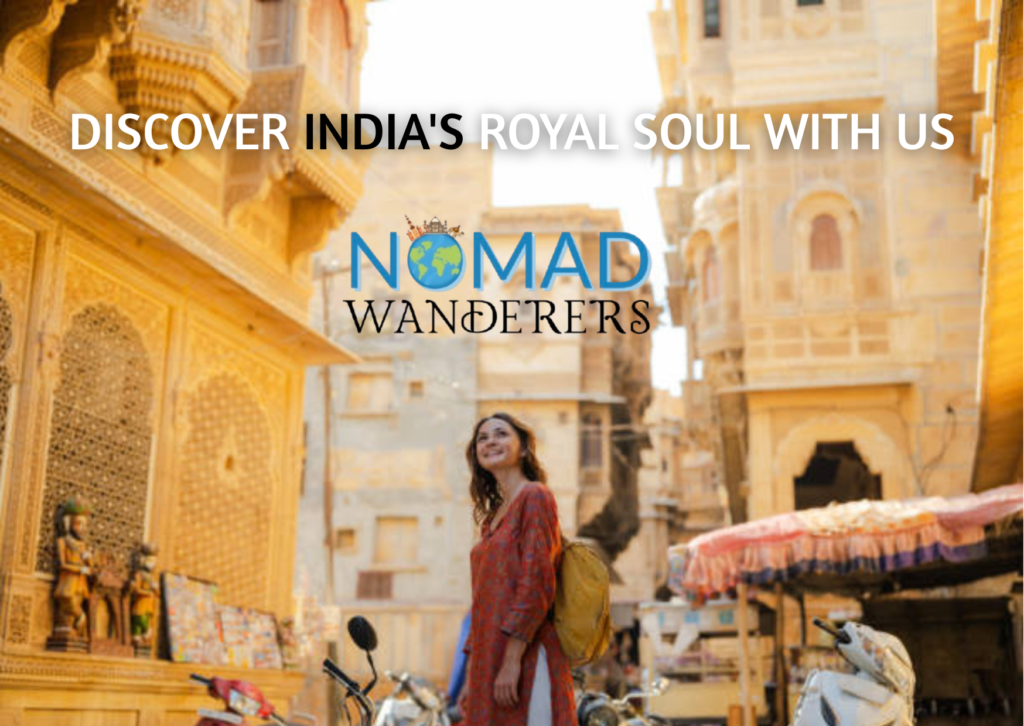 copy of wedding saree 4