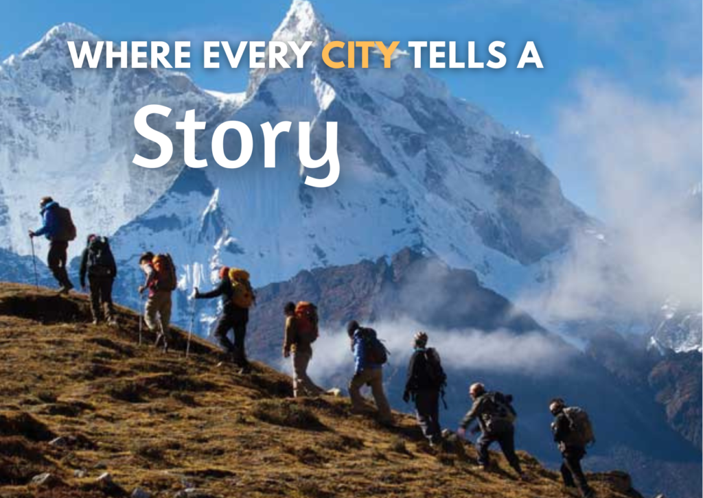 copy of wedding saree 5